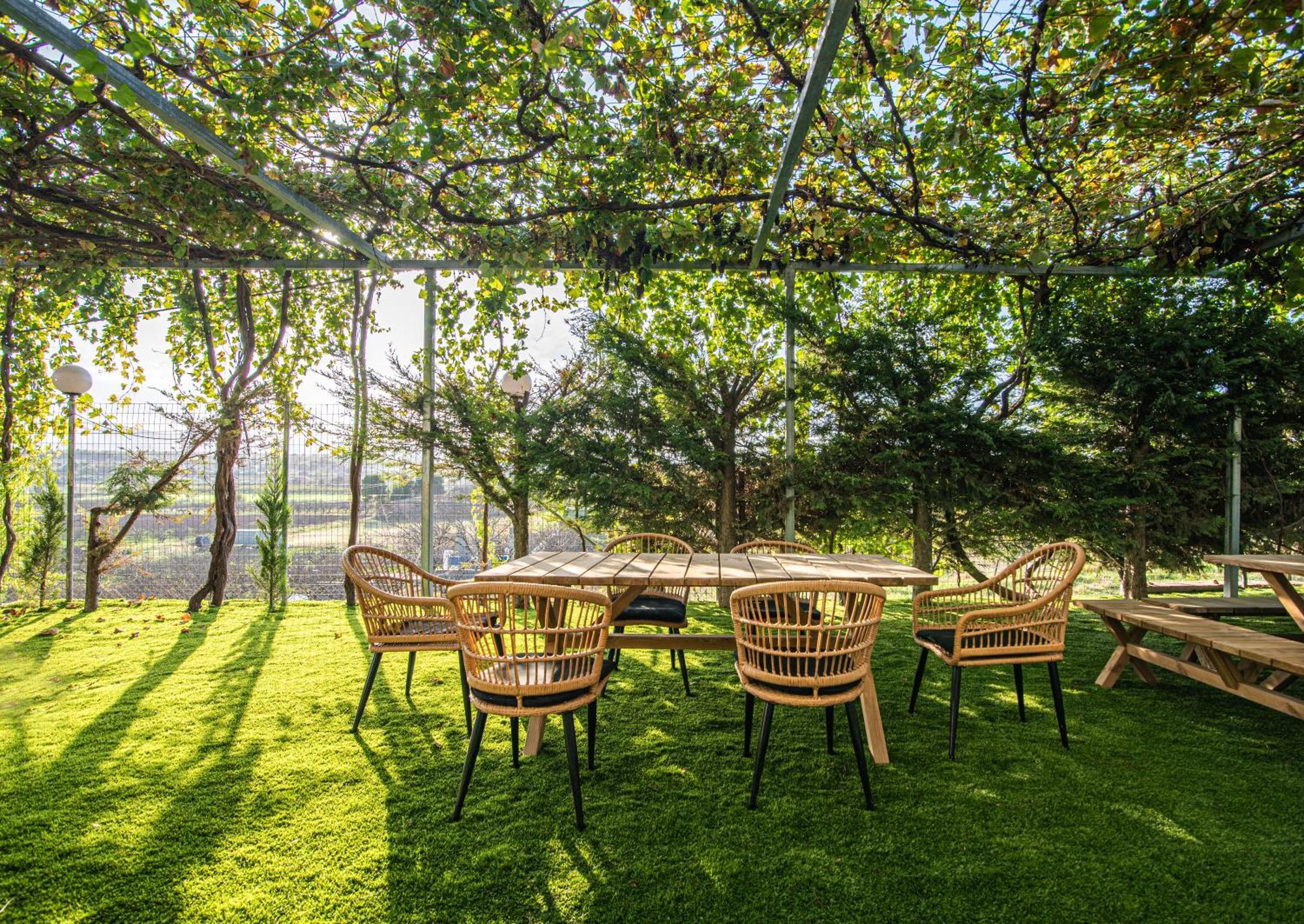 Kanela Apartment Oinofyta 외부 사진