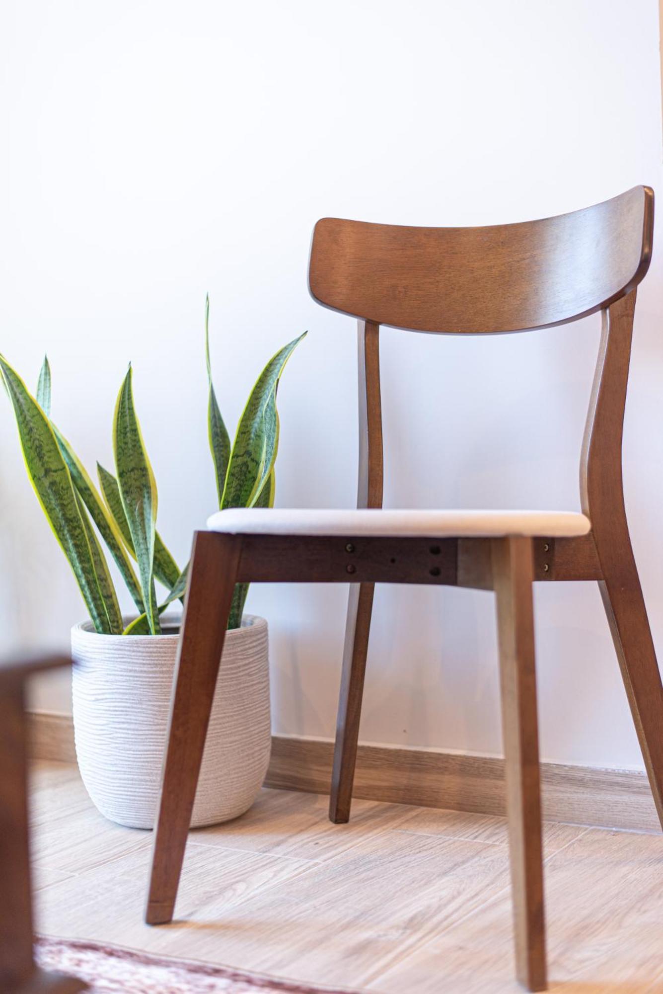 Kanela Apartment Oinofyta 외부 사진